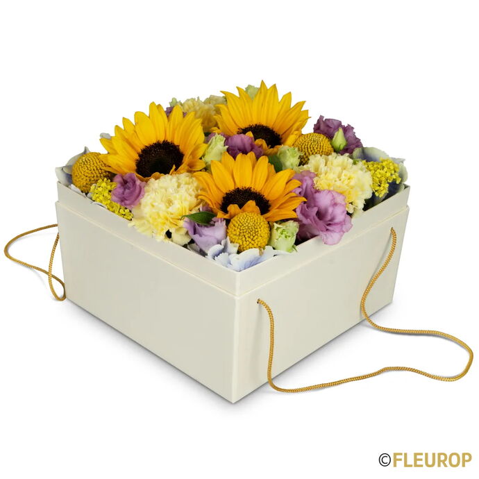 Blumenbox «Arles» (20 cm)